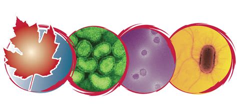 public health laboratory network